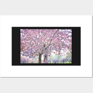 ONE MORE CHERRY BLOSSOM Posters and Art